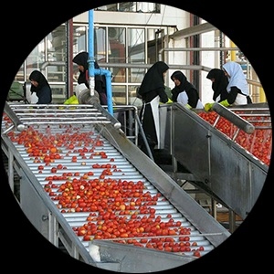 تولید و بسته بندی رب گوجه ، انار ، انگور
