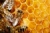 بازهم نبود نظارت و وجود عسل های تقلبی در بازار