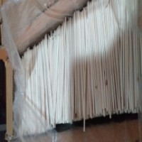 چوب نبات